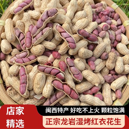 福建特产龙岩湿烤红衣花生/七彩花生 下酒菜零食香酥爽口新花生