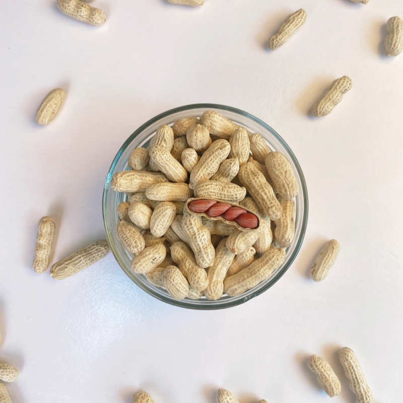 福建特产 闽西特产 龙岩湿烤红衣花生 下酒菜零食香酥爽口新花生