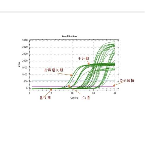 qPCR实验趋势定制代做Pcr实时萤光数据分析