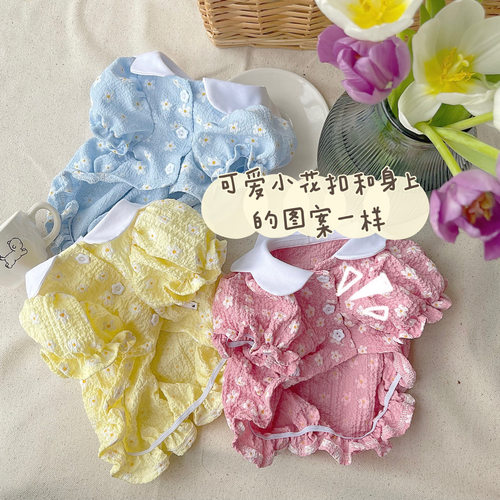 花瓣领全棉宠物服饰PPPIG宠物