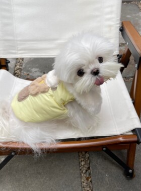 PPPIG 软糯小海獭防水防污棉服 博美马尔济斯约克夏宠物服饰