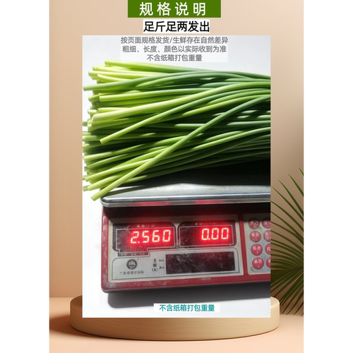 河南新鲜嫩绿现摘蒜苔