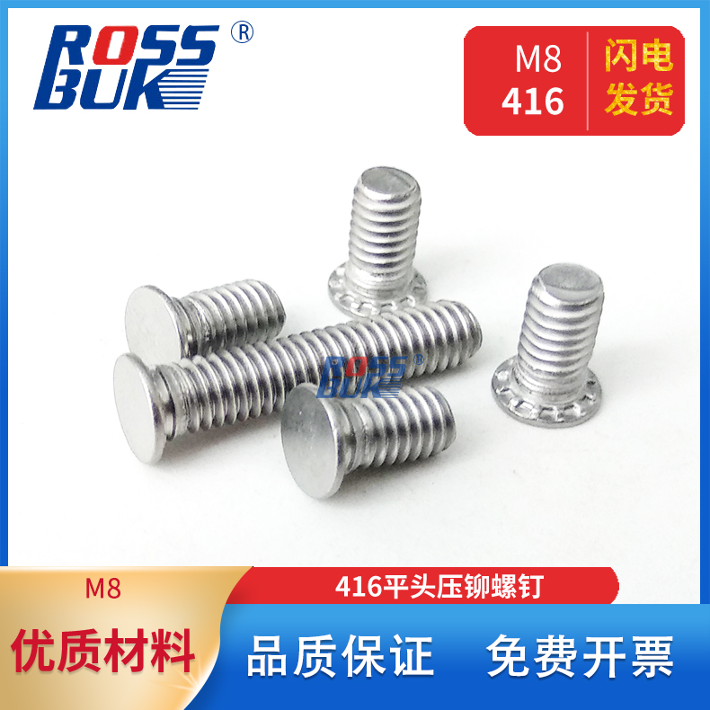 高强度不锈钢压板螺丝