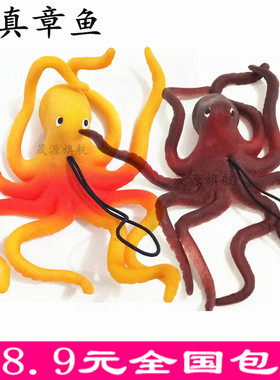 仿真海洋动物模型海底世界儿童玩具龙虾螃蟹章鱼海豚海龟海星道具