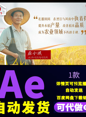 高端简洁背景年度10大影响力获奖人物介绍传记访谈对话图文AE模版