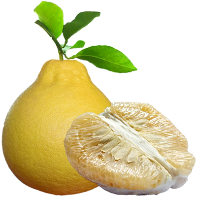 容县沙田柚自良镇产出