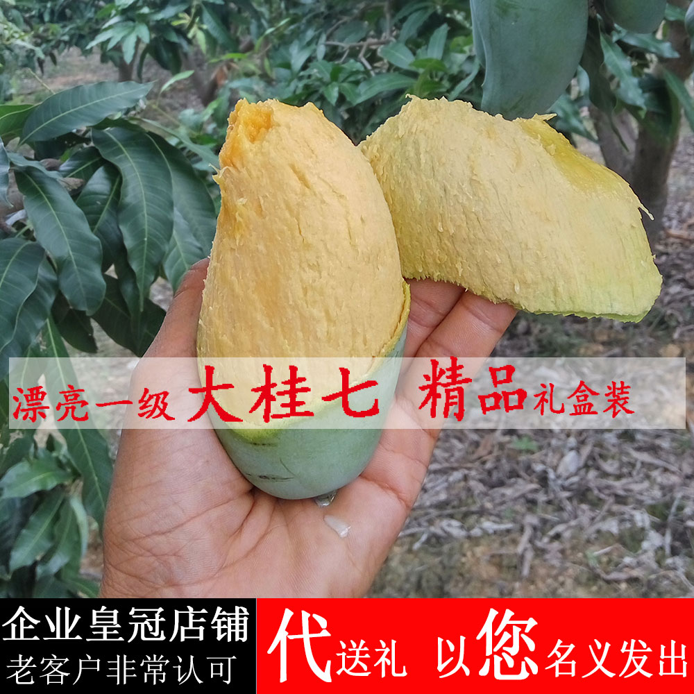 8斤廣西桂7桂七香芒果大果新鮮水果大青芒12年樹田東中龍莊園包郵