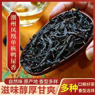 鸭屎香茶叶凤凰单枞正宗单丛潮汕一级高山单纵茶蜜兰香单从乌龙茶