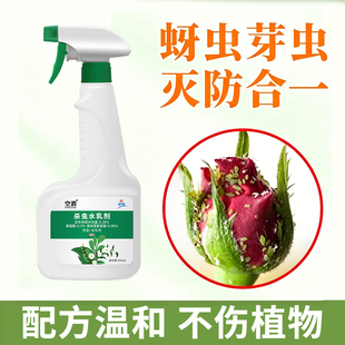 防去除治多肉蜜虫腻虫芽虫杀虫剂月季花卉植物灭蚜虫专用的药喷雾