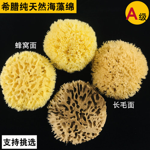 希腊天然海藻绵艺术漆施工海绵拍