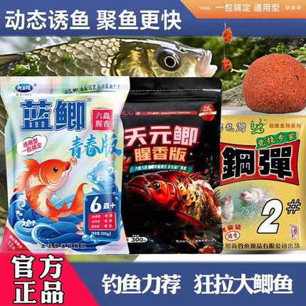【90天底价】武汉天元鲫化氏钢弹2号龙王恨野战蓝鲫青春版6虫饵料