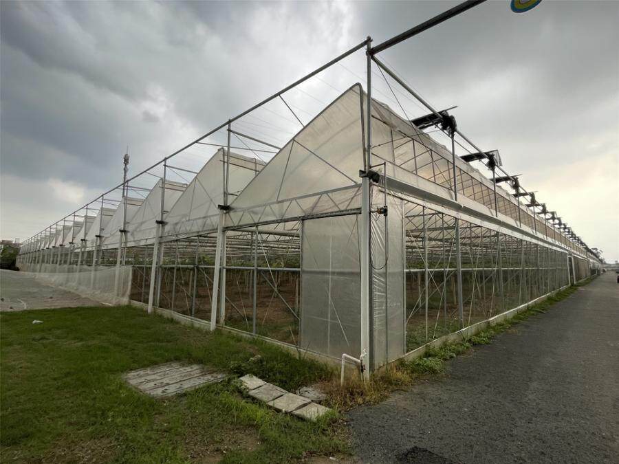 3月25日佛山文创生态园智能控温4号搭棚网络拍卖公告