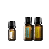 多特瑞罗马洋甘菊bogo买一送二官方正品