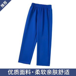 宝蓝色直筒校服裤子春款透气中小学生二条杠深蓝色一条杠纯色校裤