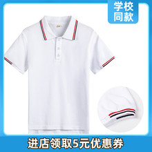 北大附属校服套装 小学生夏季 短裤 T恤POLO衫 吸汗透气英伦学院短袖