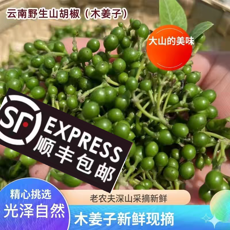 【顺丰包邮】云南新鲜木姜子野山胡椒大颗粒头茬苍浆野生现摘现发