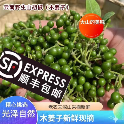 【顺丰包邮】云南新鲜木姜子野山胡椒大颗粒头茬苍浆野生现摘现发