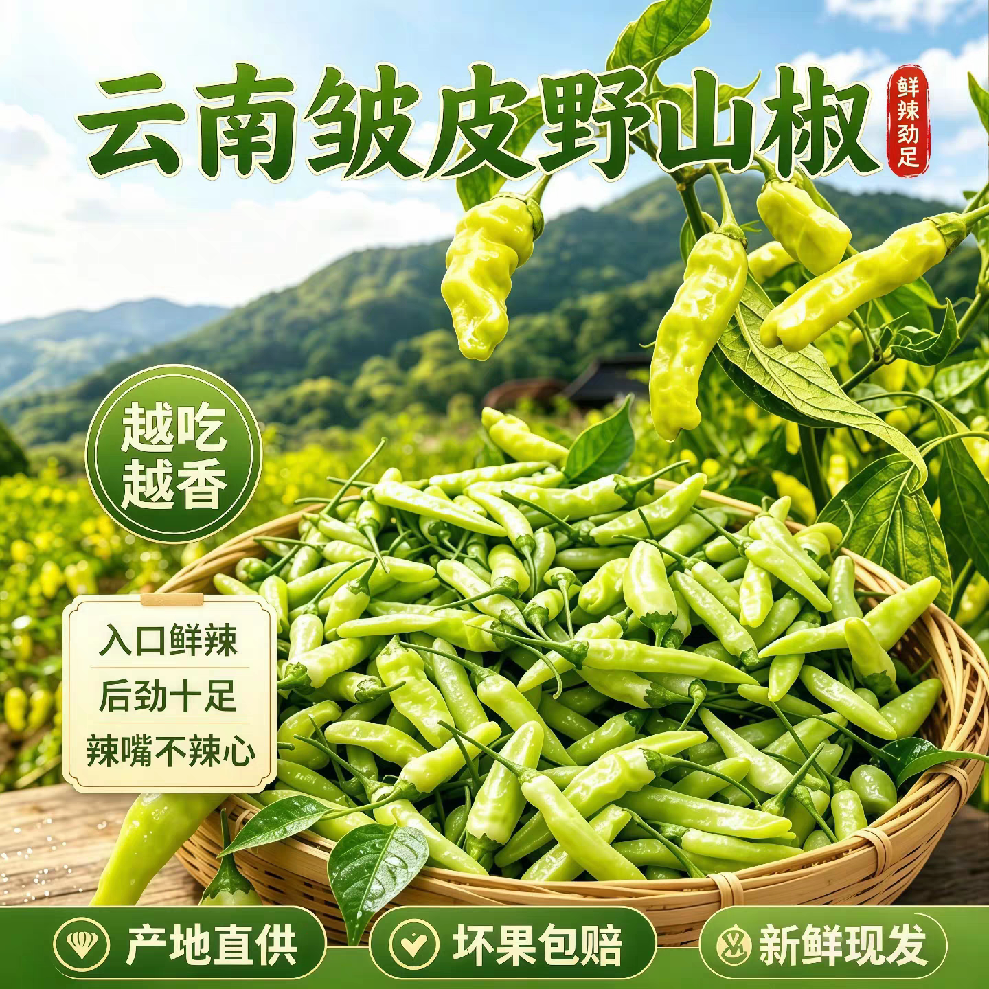 云南正宗野山椒新鲜小米辣泡椒