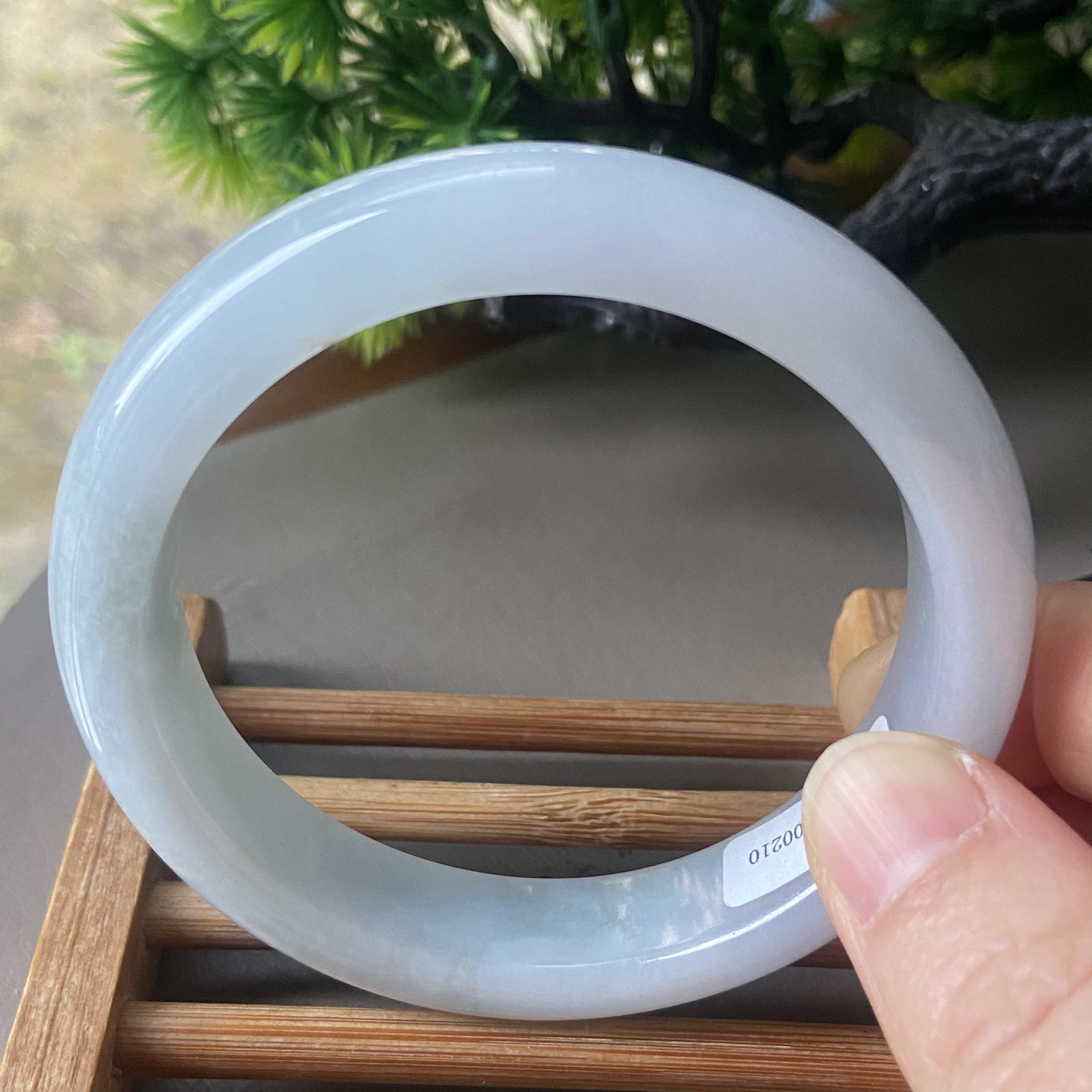 天然缅甸翡翠手镯57冰糯种浅绿白月光老坑a货玉镯子0210带证书