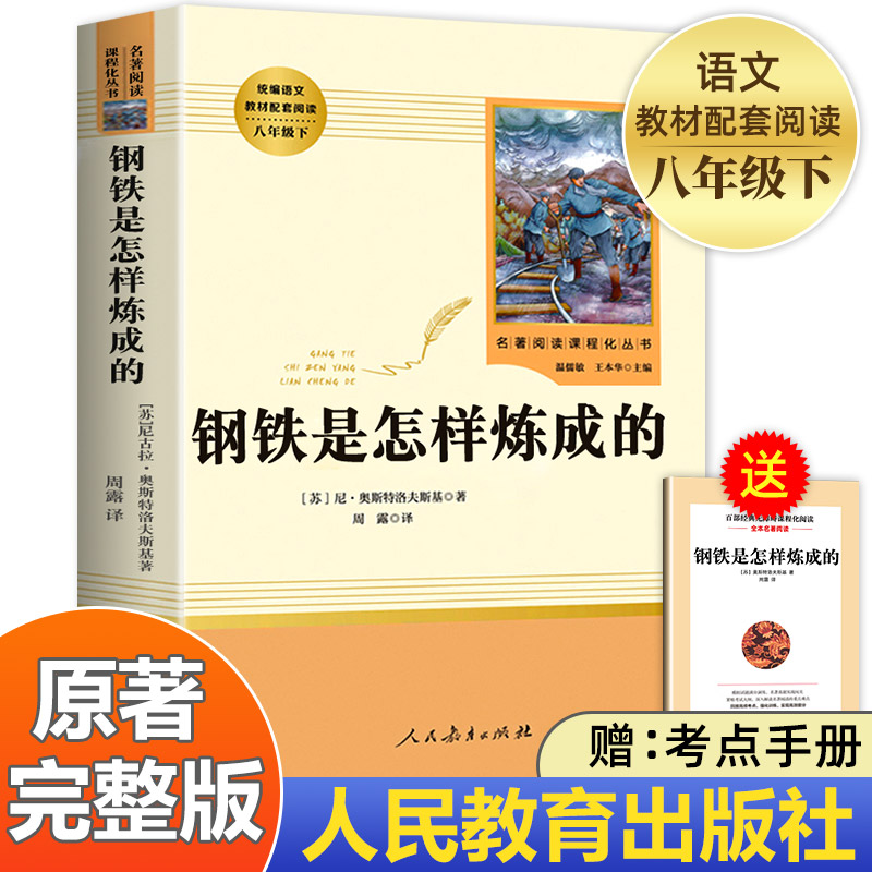 钢铁是怎样炼成的人教版