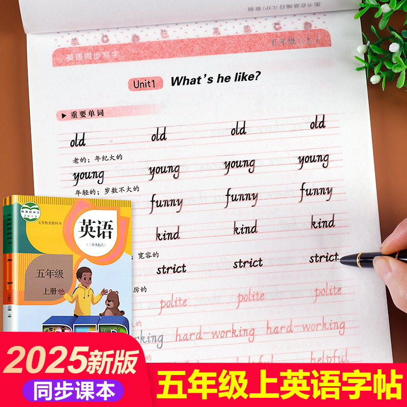 老师推荐五年级下册课本同步