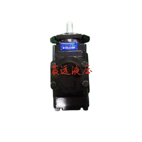 T7DDS E42 E20 1R00 A1M0 叶片泵注塑机液压高压定量双联伺泵高压