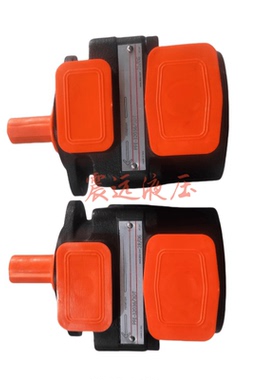 叶片泵PFE32-036-3DT油泵PFE-51090/3DV 32液压泵PFE32系列