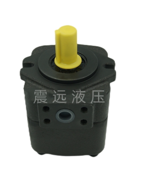 液压叶片泵油泵VQ20/DVQ20-6/23/26/31/38-F-LRA/LRB/LRR/LRL/LLA