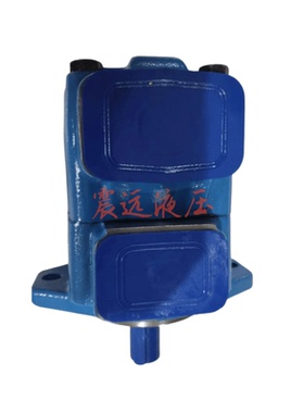 25VQ12A-1C20叶片泵14A/15A/17A/19A/21A液压油泵 25VQ系列