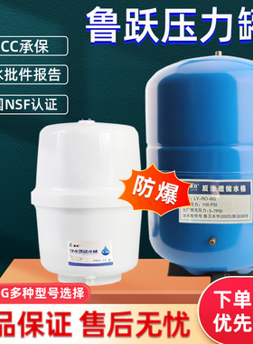 鲁跃3.2G压力罐净水器4G压力桶商用6G11G储水罐RO直饮纯水机配件