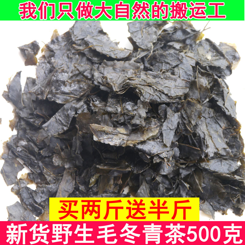 云南毛冬青茶叶毛东青苦甘叶大叶苦丁茶500克泡茶天然特级精华 传统滋补营养品 养生茶 原图主图