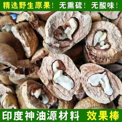 温补肾阳益肾子泡酒泡茶滋补