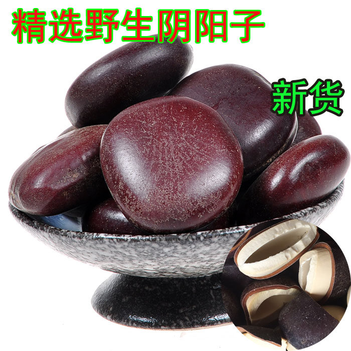 广西阴阳子500克肾树宝肾子双肾子过江龙泡酒料搭配风流果药材