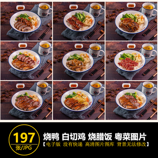 烧鸭图片白切鸡双拼烧腊饭粤菜高清烧鸭菜品图美团外卖商品图片