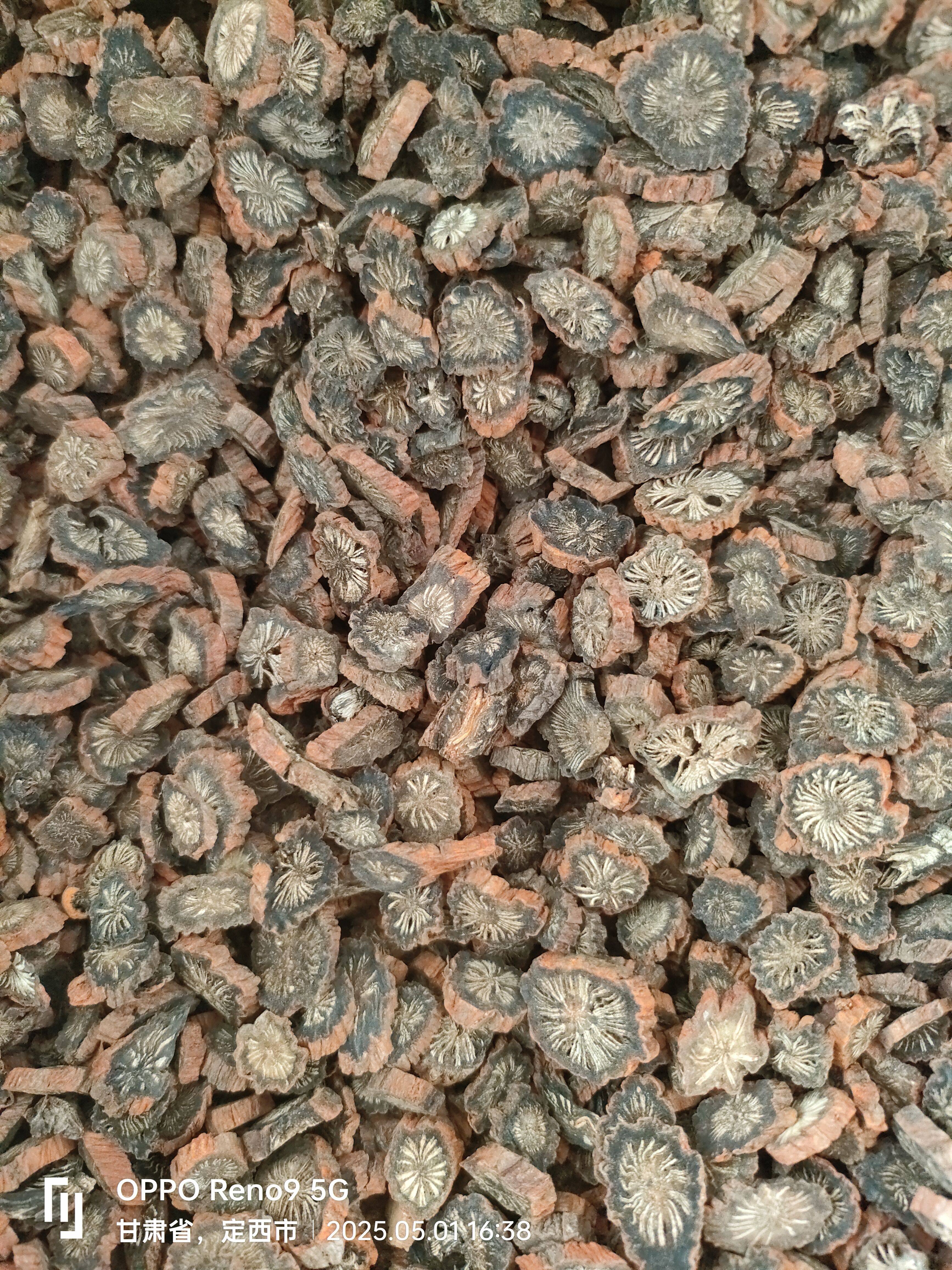 血丹参 甘肃岷县野生紫丹参中药材正品丹参粉野生无硫紫丹参片