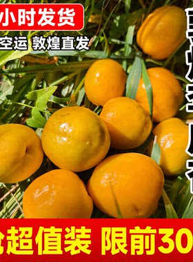 【顺丰包邮】敦煌李广杏新鲜水果