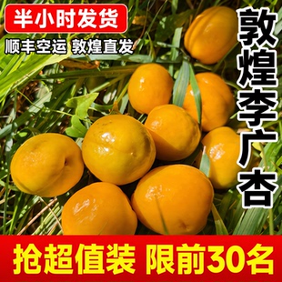 【顺丰包邮】敦煌李广杏特产鲜果采摘新鲜水果杏子现摘甘肃敦煌杏