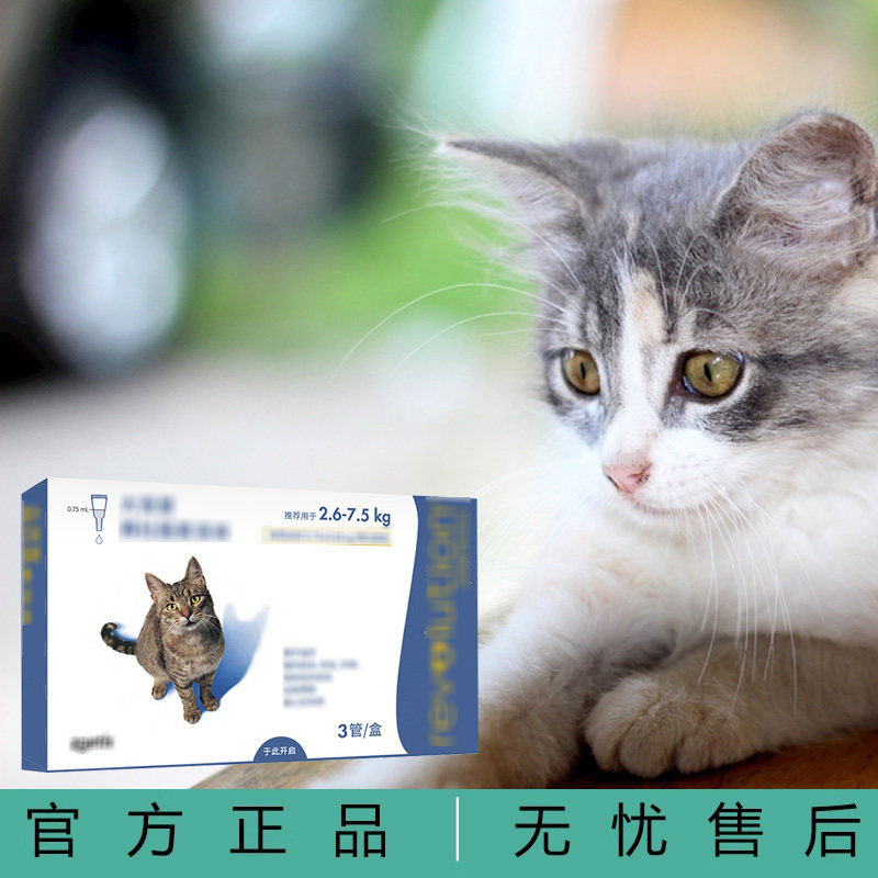 猫猫宠物用品流浪猫咪保护套装每月一次安全放心家养用品