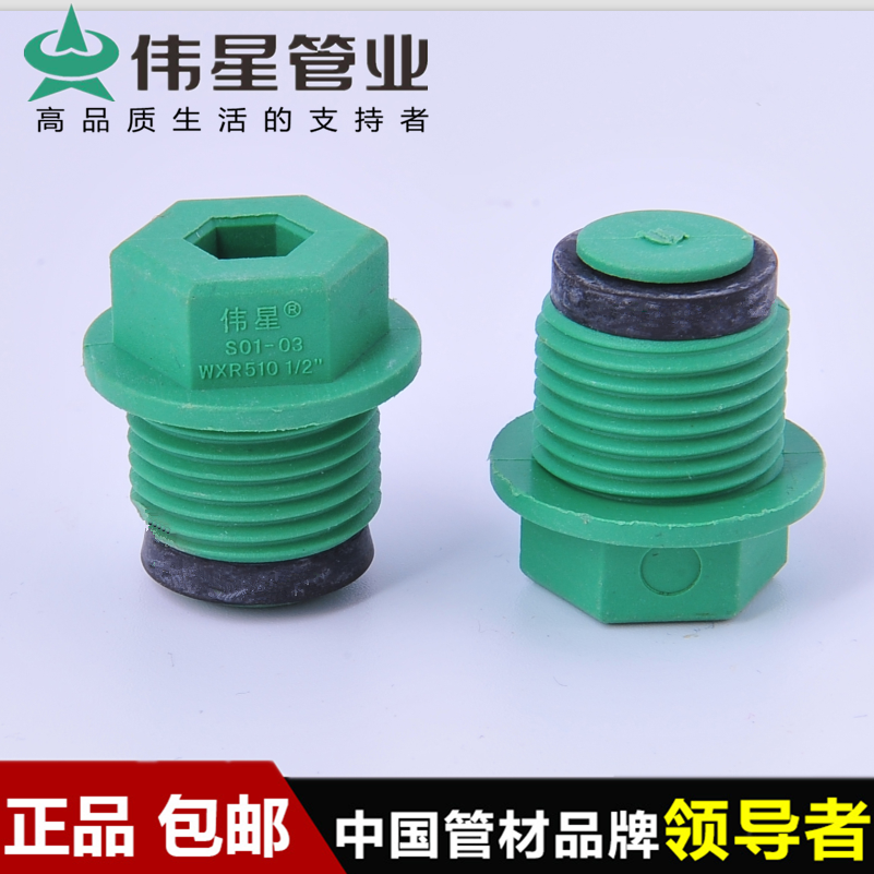 VASEN/伟星PPR丝堵管堵头带垫圈