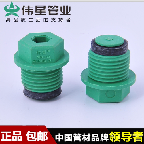 VASEN/伟星PPR丝堵管堵头带垫圈