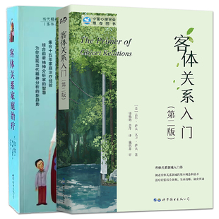 2册 客体关系家庭治疗+客体关系入门：当代精神分析理论 第二版 客体关系的基本概念技术 治疗经验结合案例 治疗知识 心理治疗师