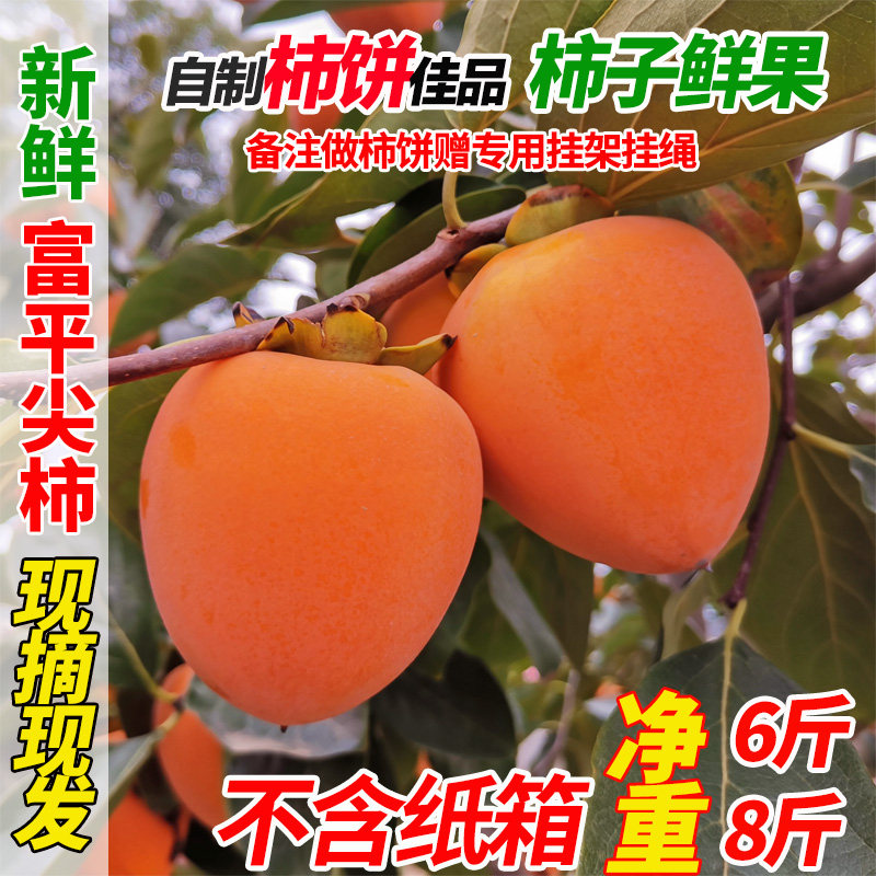 陕西富平柿子鲜果尖柿自制富平柿饼专用整箱新鲜软柿现摘现发