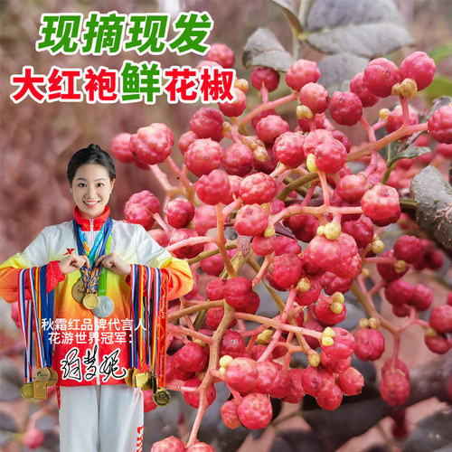 陕西渭南现摘现发鲜湿花椒