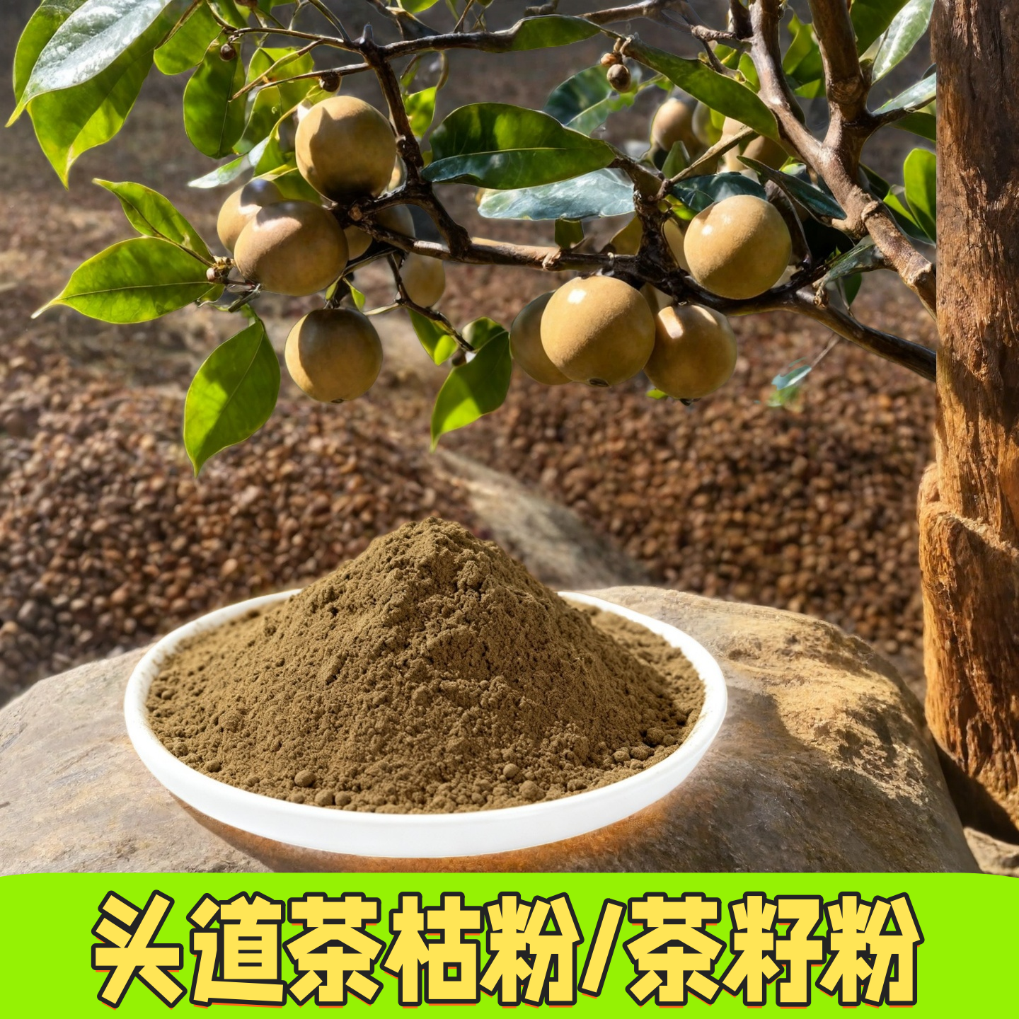 草本茶麸茶枯粉侧柏叶洗头发粉包养发护发天然山茶籽粉饼男女通用