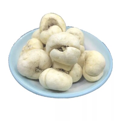 正宗西藏那区藏贝母正品尖贝大颗粒味苦非川平贝母/500g养生补品