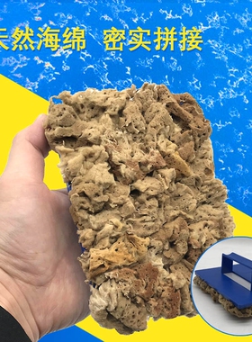 天然海藻棉拍 三色珠光涂刷工具天然海藻艺术漆点涂海藻刷海藻棉
