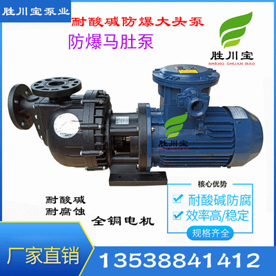 防爆耐酸碱自吸泵