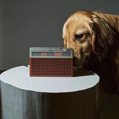 Geneva Touring S+ 吉年瓦兰户外便携蓝牙音箱移动FM收音机