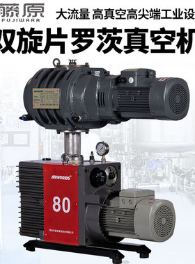 双级旋片罗茨真空泵E2M工业用实验室抽气负压大流量高真空正品