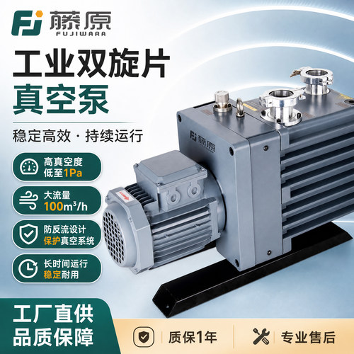 双级旋片式工业用高真空大流量